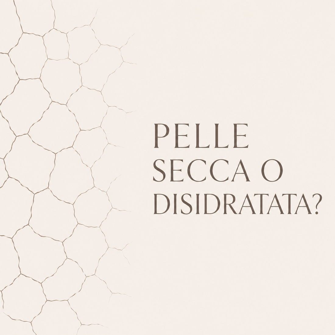 Pelle secca o disidratata? Sembrano uguali, ma non lo sono